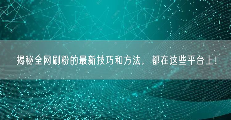 揭秘全网刷粉的最新技巧和方法，都在这些平台上！