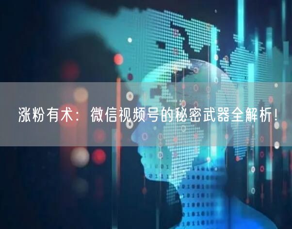 涨粉有术：微信视频号的秘密武器全解析！