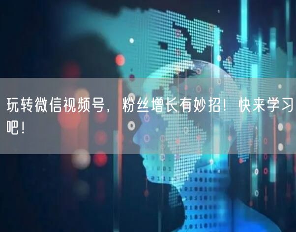 玩转微信视频号，粉丝增长有妙招！快来学习吧！