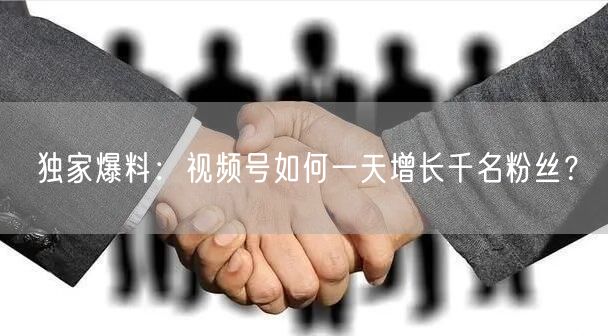 独家爆料：视频号如何一天增长千名粉丝？
