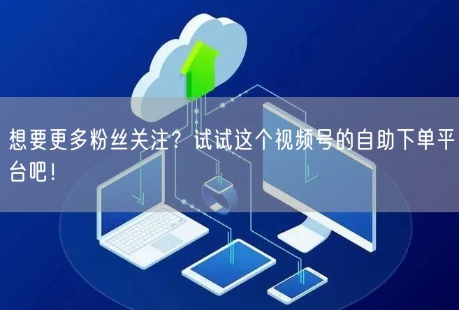 想要更多粉丝关注？试试这个视频号的自助下单平台吧！