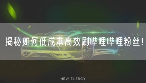 揭秘如何低成本高效刷哔哩哔哩粉丝！