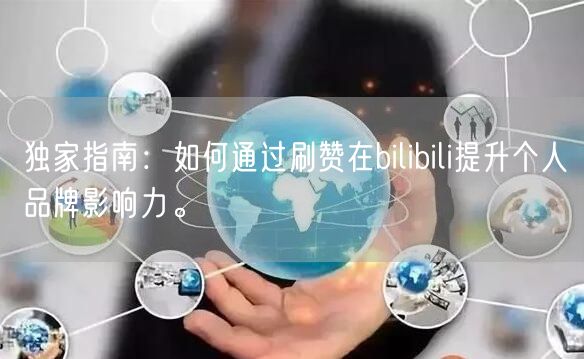 独家指南：如何通过刷赞在bilibili提升个人品牌影响力。