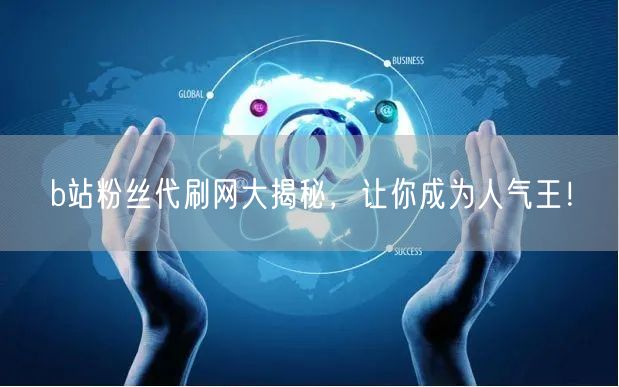 b站粉丝代刷网大揭秘，让你成为人气王！