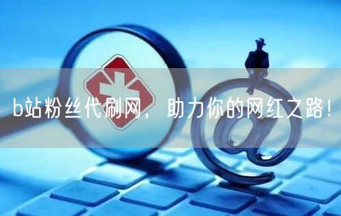 b站粉丝代刷网，助力你的网红之路！