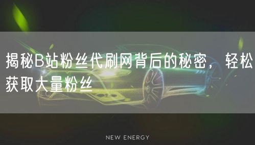 揭秘B站粉丝代刷网背后的秘密，轻松获取大量粉丝