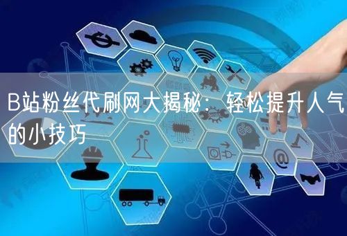 B站粉丝代刷网大揭秘：轻松提升人气的小技巧
