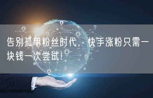 告别孤单粉丝时代，快手涨粉只需一块钱一次尝试！