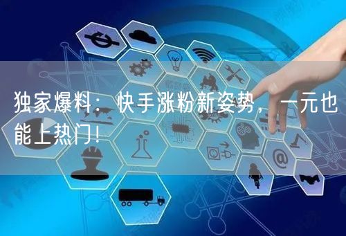 独家爆料：快手涨粉新姿势，一元也能上热门！