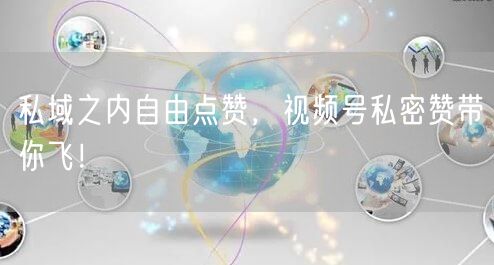 私域之内自由点赞，视频号私密赞带你飞！