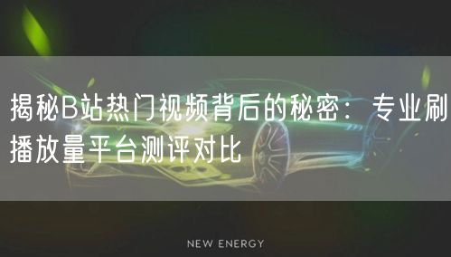 揭秘B站热门视频背后的秘密：专业刷播放量平台测评对比