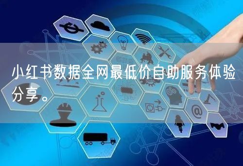 小红书数据全网最低价自助服务体验分享。