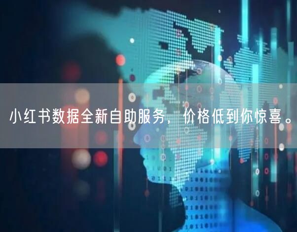 小红书数据全新自助服务，价格低到你惊喜。