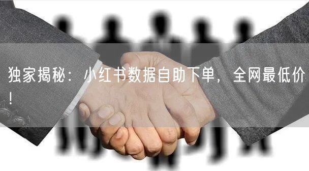 独家揭秘：小红书数据自助下单，全网最低价！