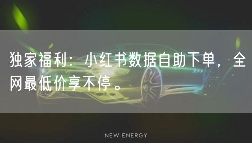 独家福利：小红书数据自助下单，全网最低价享不停。
