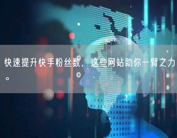 快速提升快手粉丝数，这些网站助你一臂之力。