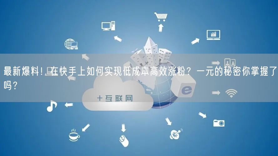 最新爆料!在快手上如何实现低成本高效涨粉?一元的秘密你掌握了吗?