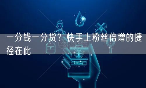 一分钱一分货?快手上粉丝倍增的捷径在此