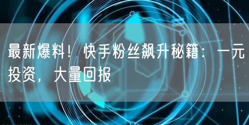 最新爆料！快手粉丝飙升秘籍：一元投资，大量回报